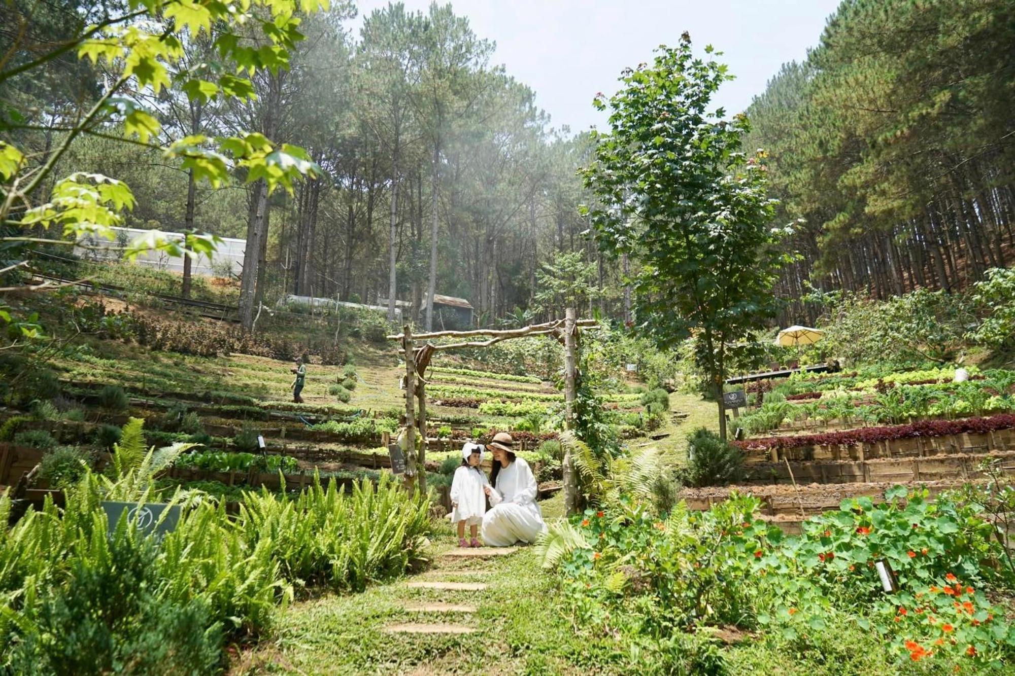 Mo Stay - Forest Resort Dalat Bagian luar foto