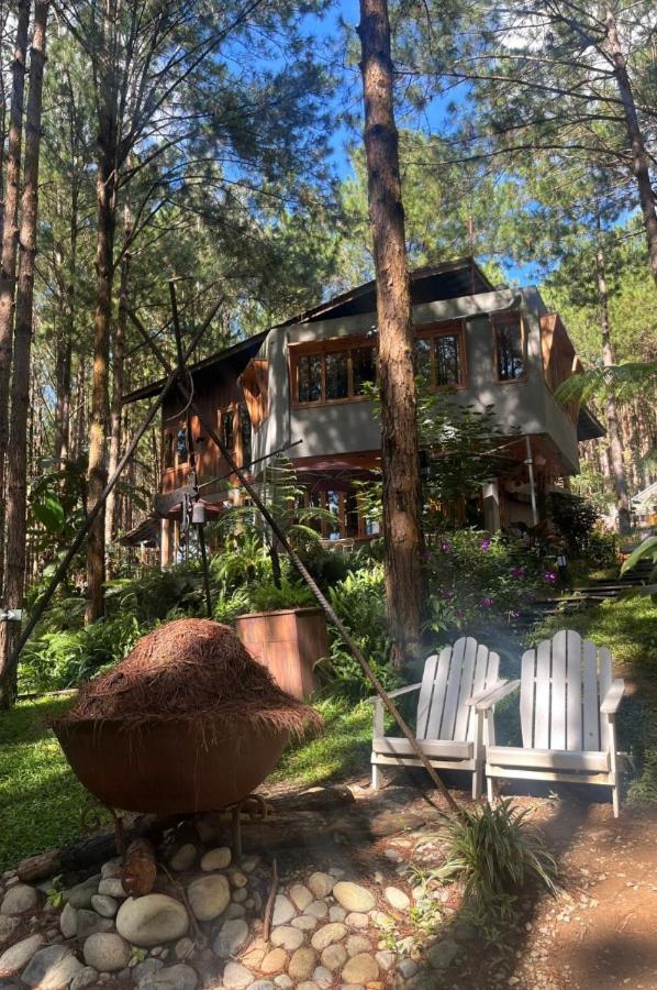Mo Stay - Forest Resort Dalat Bagian luar foto