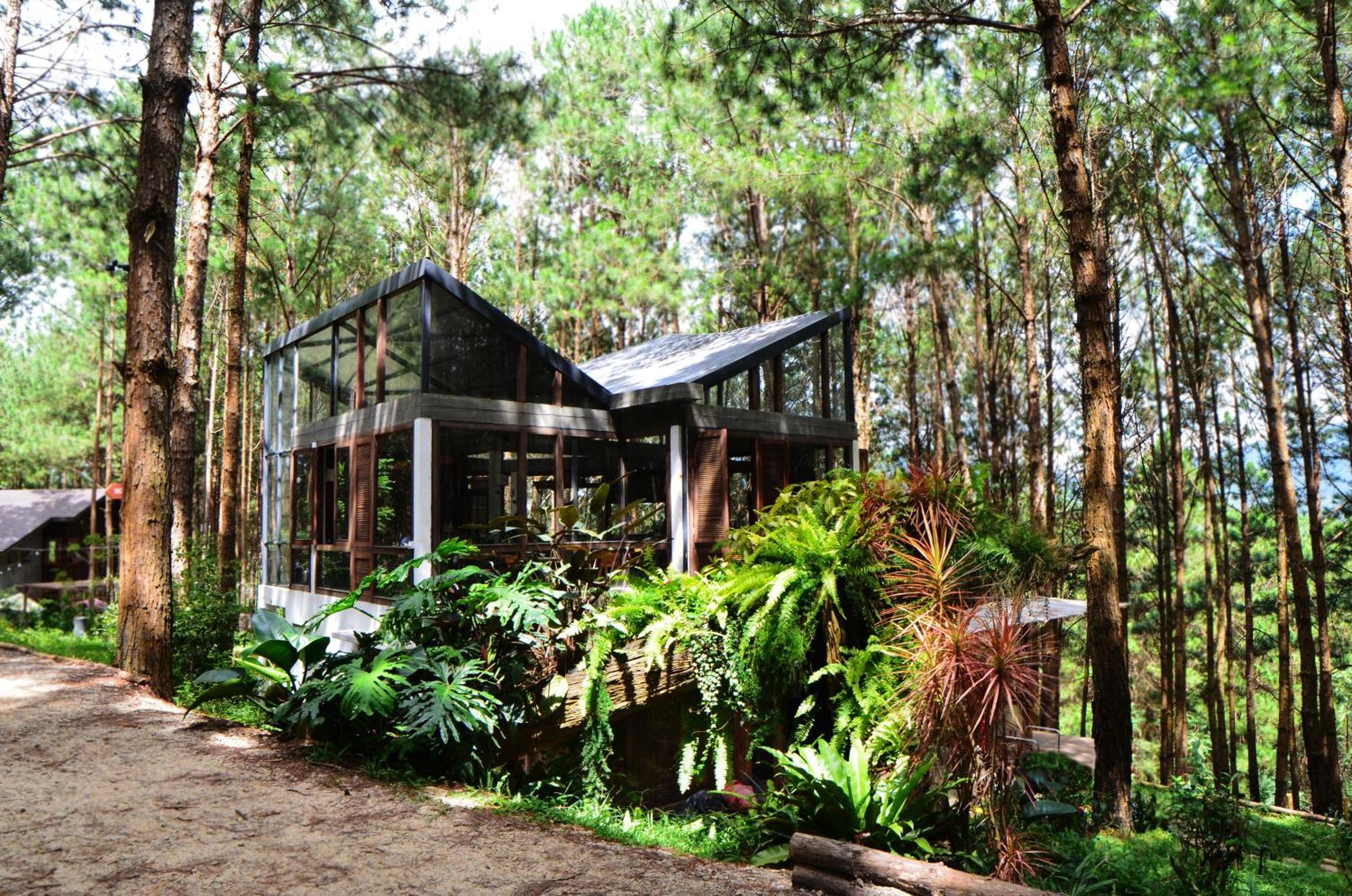 Mo Stay - Forest Resort Dalat Bagian luar foto