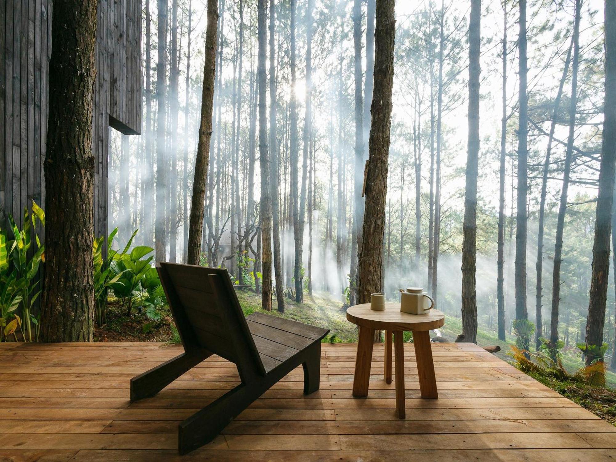 Mo Stay - Forest Resort Dalat Bagian luar foto