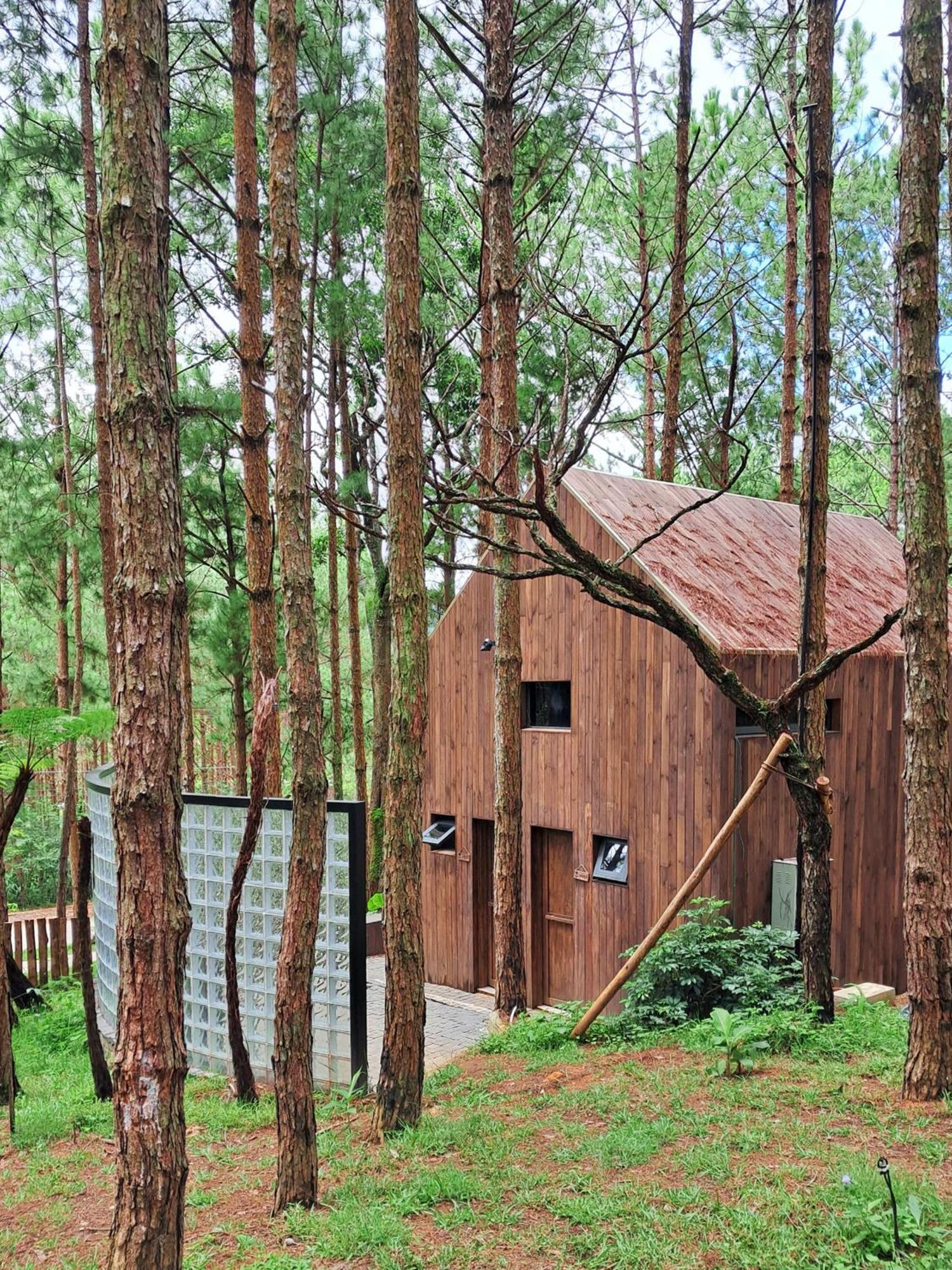 Mo Stay - Forest Resort Dalat Bagian luar foto