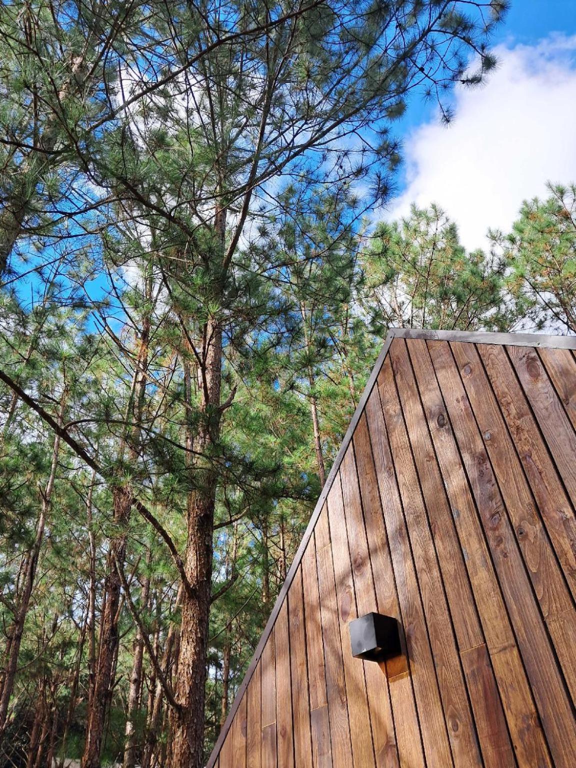 Mo Stay - Forest Resort Dalat Bagian luar foto